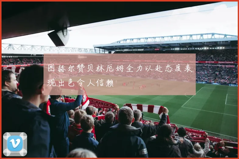 图赫尔赞贝林厄姆全力以赴态度表现出色令人信赖